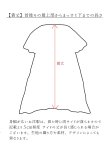 画像12: seasew.／フレンチリネンヘンリーネックプルオーバー・２color (12)